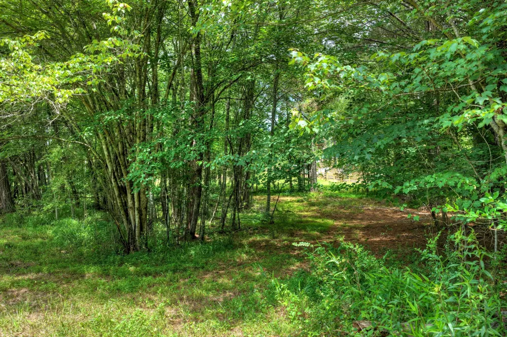 526 Airport Road Copperhill, TN 37317