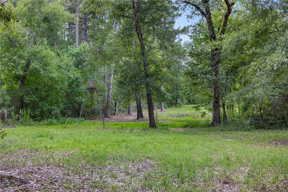 4942 Old Wagon Lane Richards, TX 77873