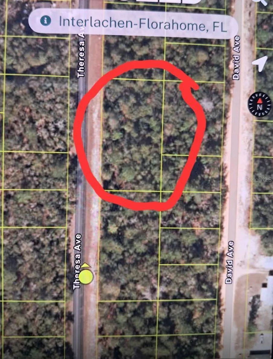 TBD TBD Interlachen, FL 32148