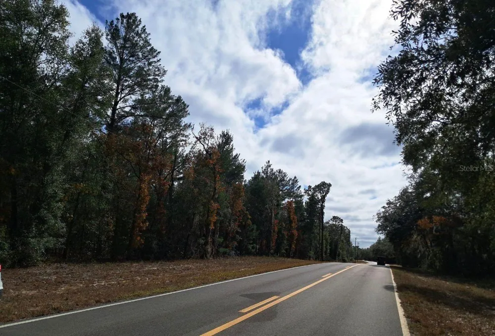TBD TBD Interlachen, FL 32148