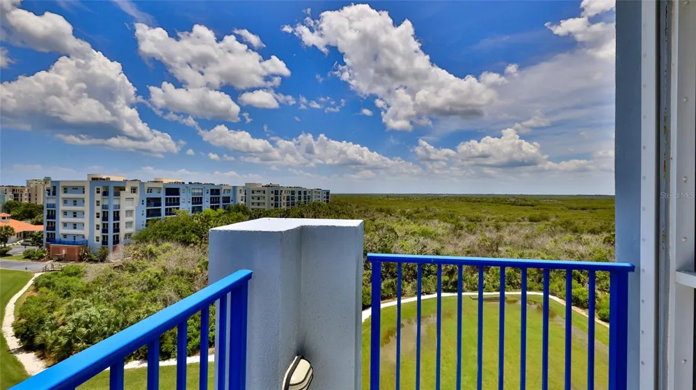 5300 S ATLANTIC AVENUE #5601 New Smyrna Beach, FL 32169