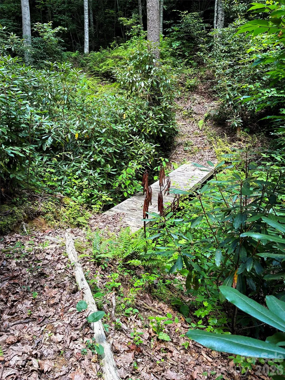 707 Cascade Trail Pisgah Forest, NC 28768