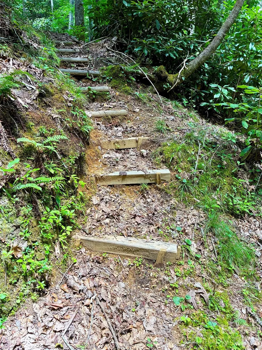 707 Cascade Trail Pisgah Forest, NC 28768