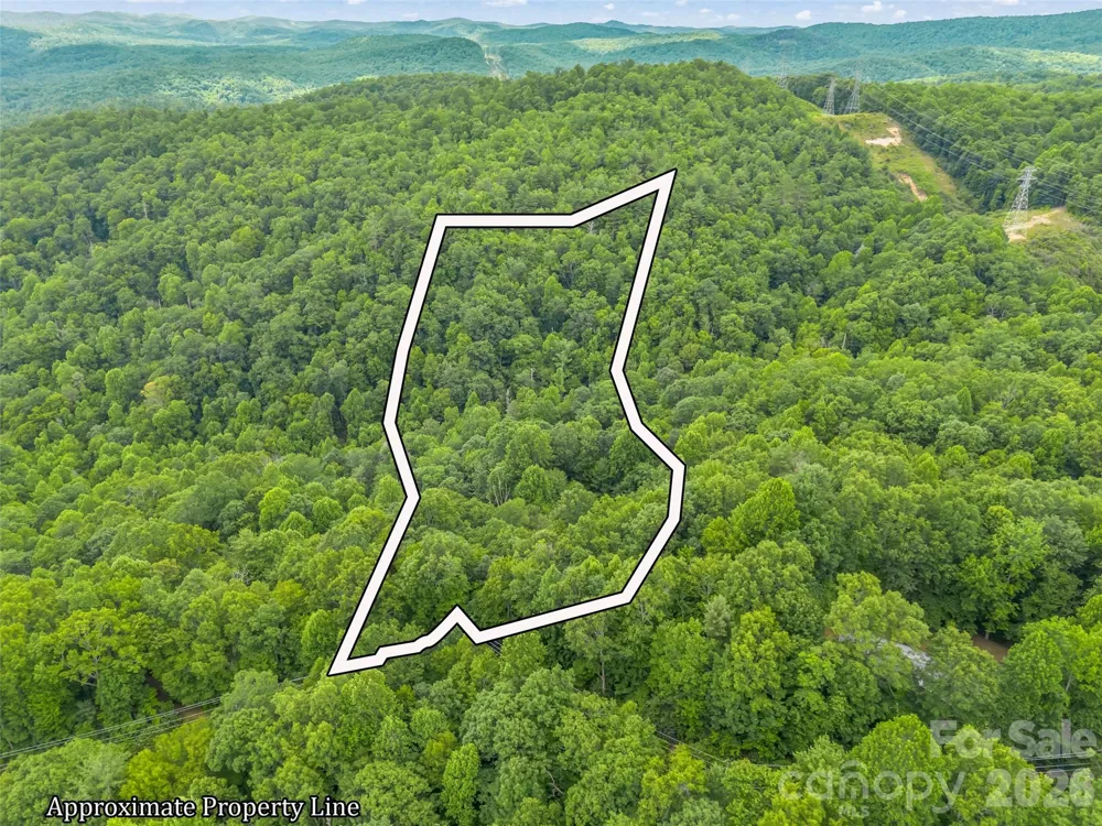 707 Cascade Trail Pisgah Forest, NC 28768