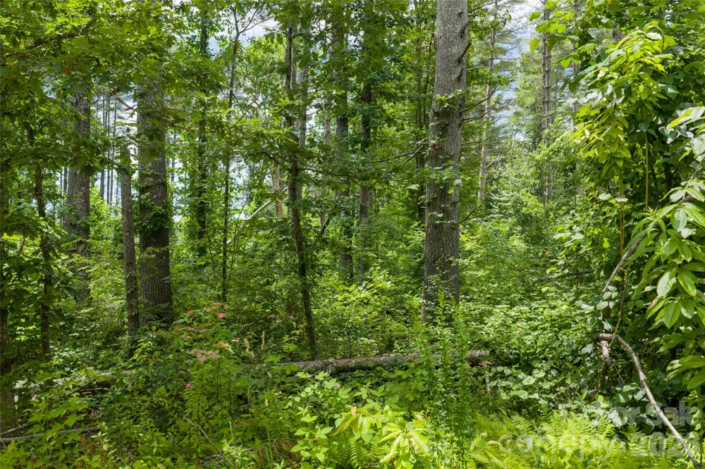 4 Dunnwoody Drive Arden, NC 28704