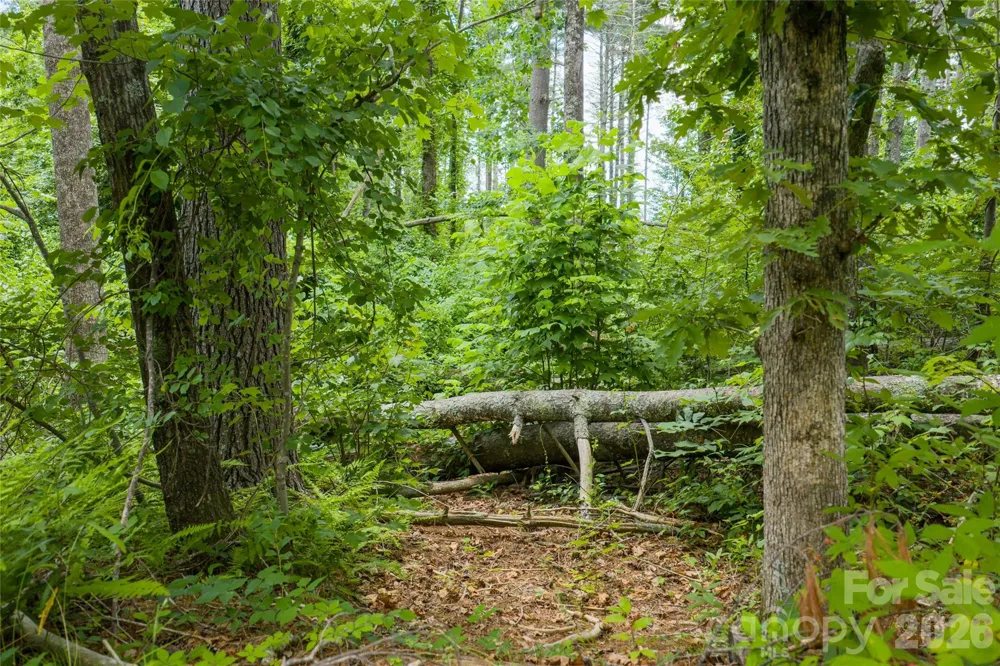 4 Dunnwoody Drive Arden, NC 28704