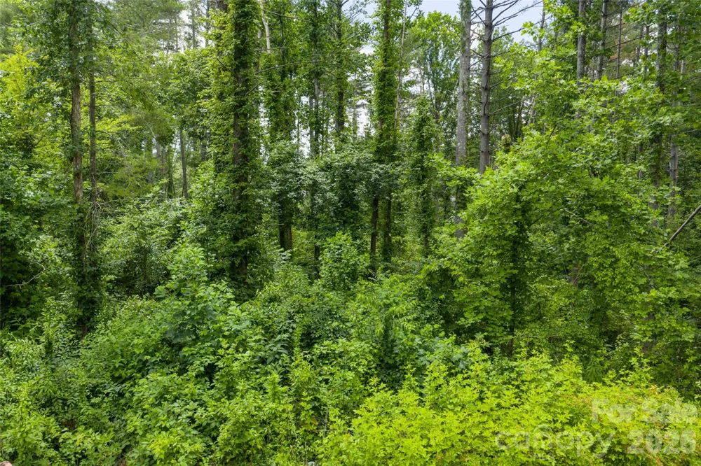 4 Dunnwoody Drive Arden, NC 28704