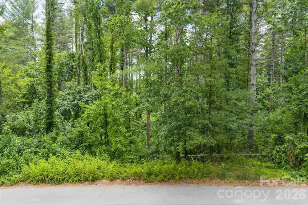 4 Dunnwoody Drive Arden, NC 28704