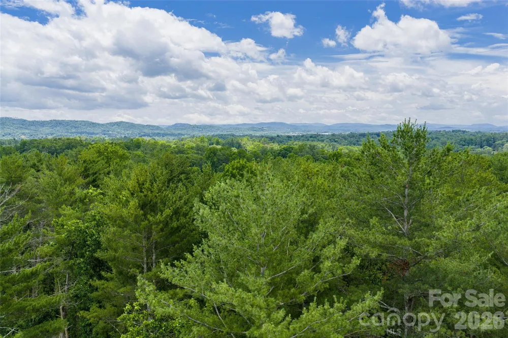 4 Dunnwoody Drive Arden, NC 28704