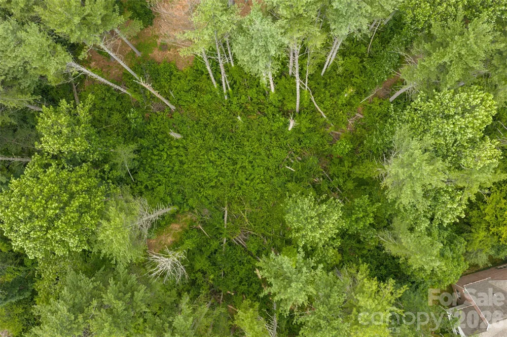4 Dunnwoody Drive Arden, NC 28704