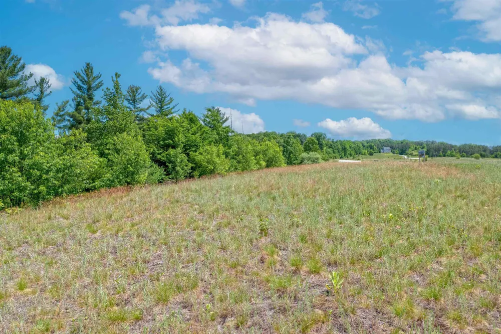 4885 Wonderview Lane NW Clearwater Township, MI 49676