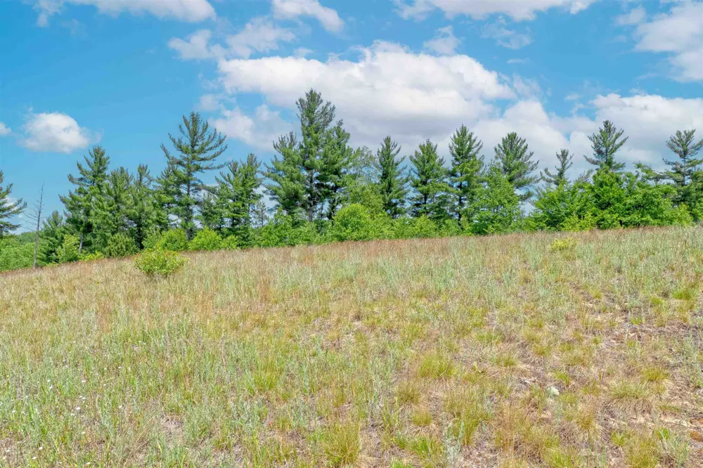 4885 Wonderview Lane NW Clearwater Township, MI 49676