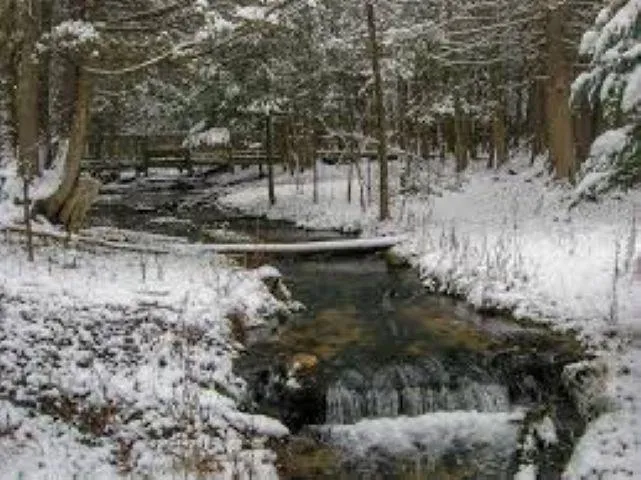 NW Morrison Road Clearwater Township, MI 49676