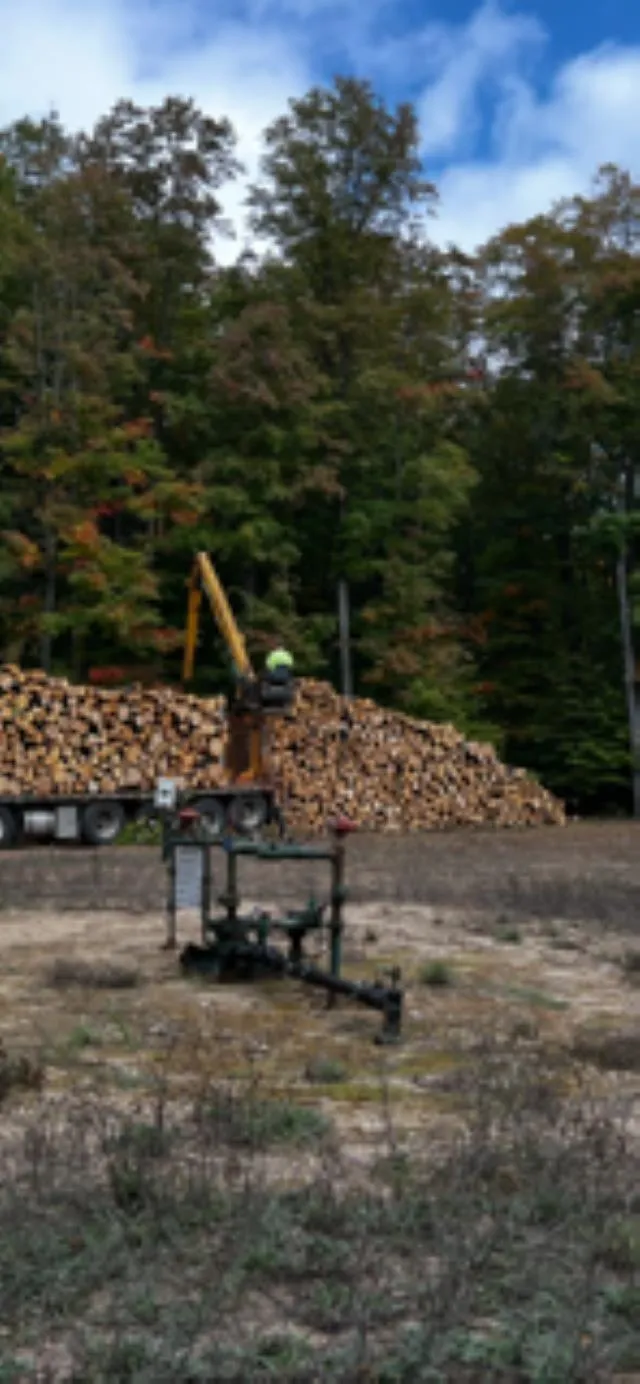 NW Morrison Road Clearwater Township, MI 49676