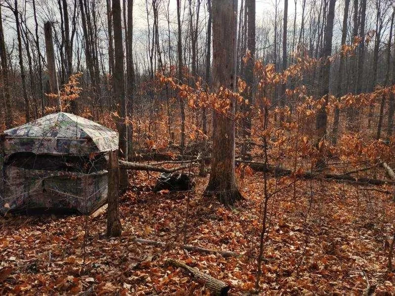 NW Morrison Road Clearwater Township, MI 49676