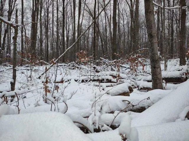 NW Morrison Road Clearwater Township, MI 49676