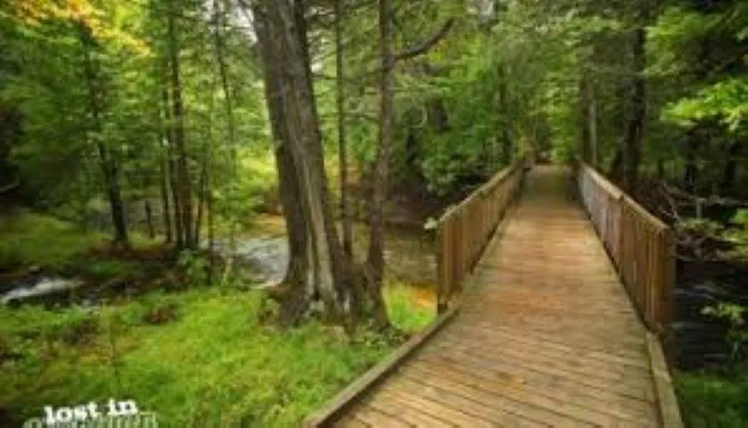 NW Morrison Road Clearwater Township, MI 49676