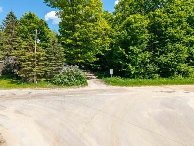 NW Morrison Road Clearwater Township, MI 49676