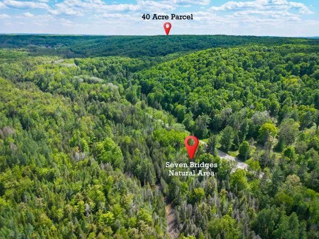 NW Morrison Road Clearwater Township, MI 49676