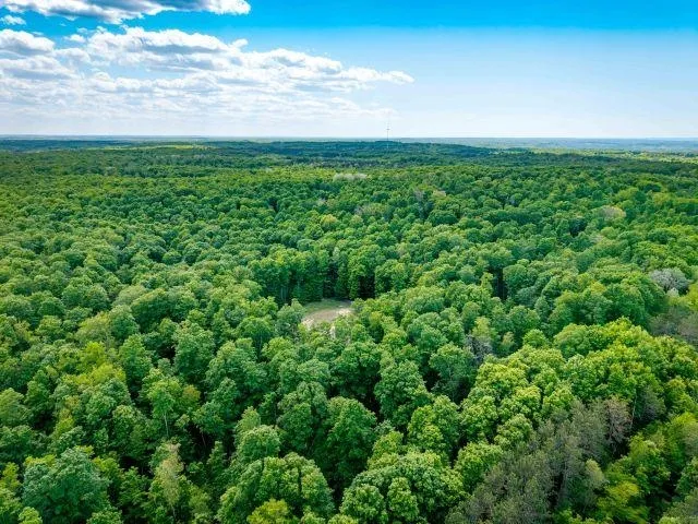 NW Morrison Road Clearwater Township, MI 49676