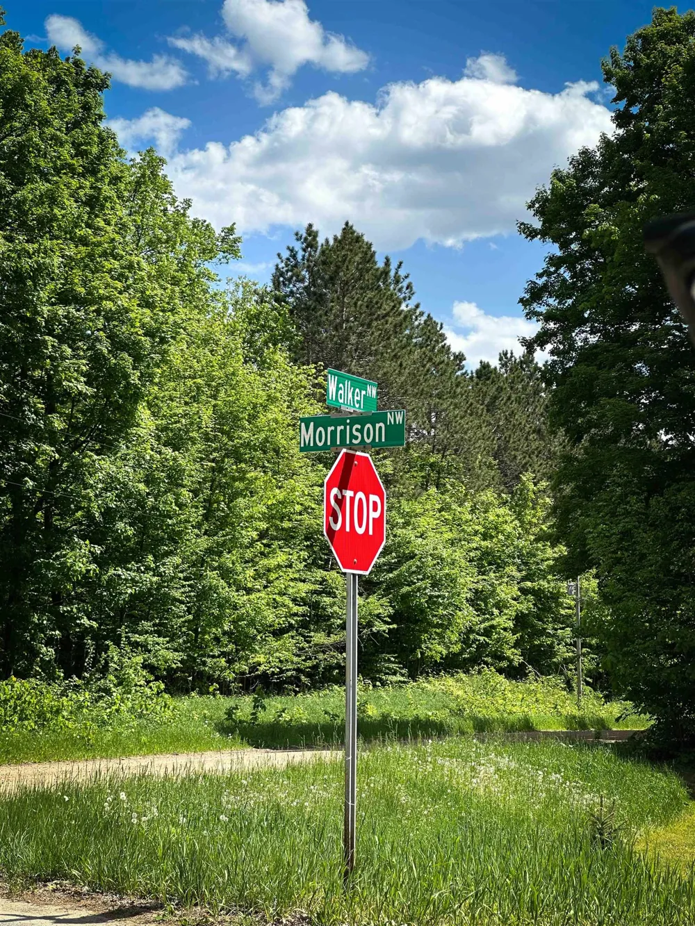 NW Morrison Road Clearwater Township, MI 49676