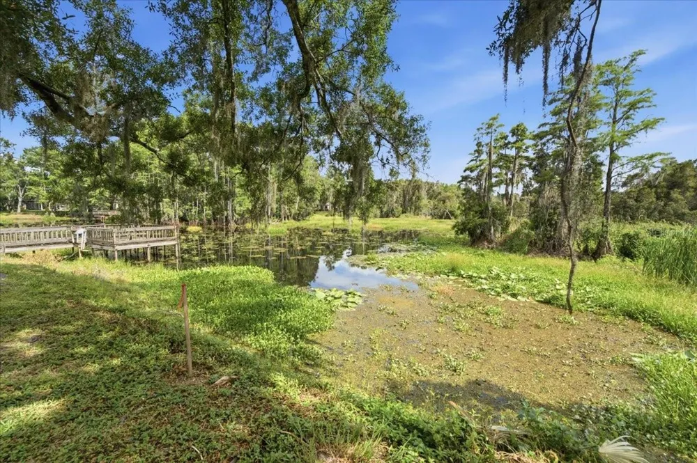 WOODS END CT Tampa, FL 33618