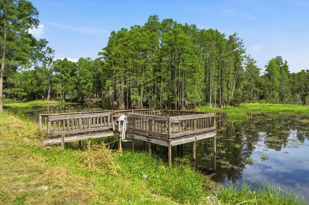 WOODS END CT Tampa, FL 33618