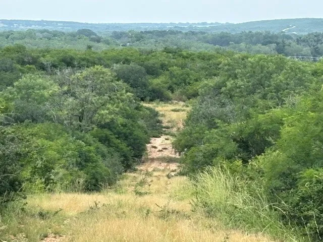 5394 FM 2200 ROAD W Devine, TX 78016