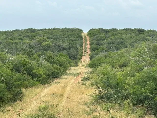 5394 FM 2200 ROAD W Devine, TX 78016