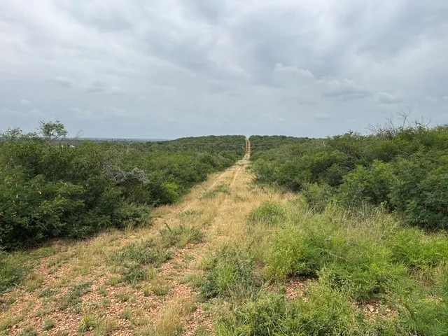 5394 FM 2200 ROAD W Devine, TX 78016