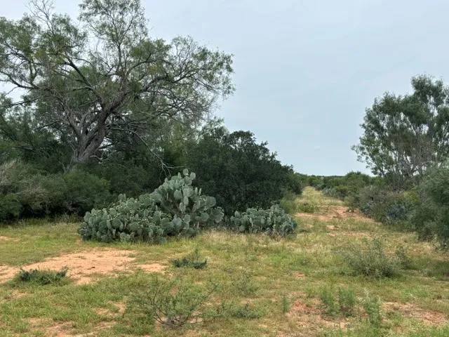 5394 FM 2200 ROAD W Devine, TX 78016