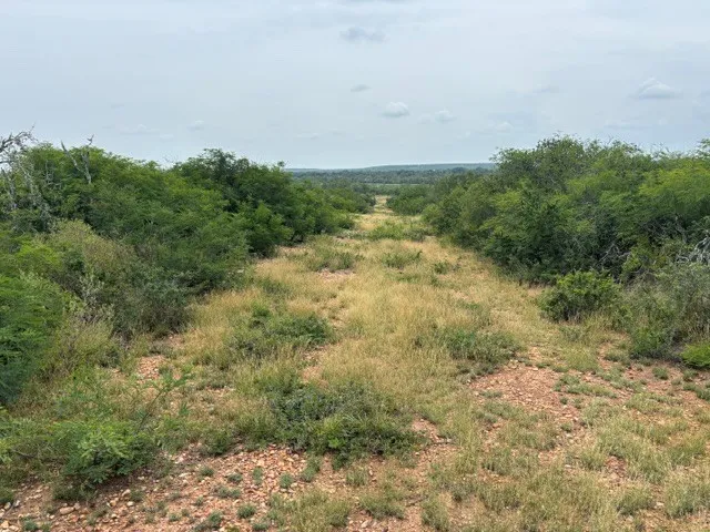 5394 FM 2200 ROAD W Devine, TX 78016