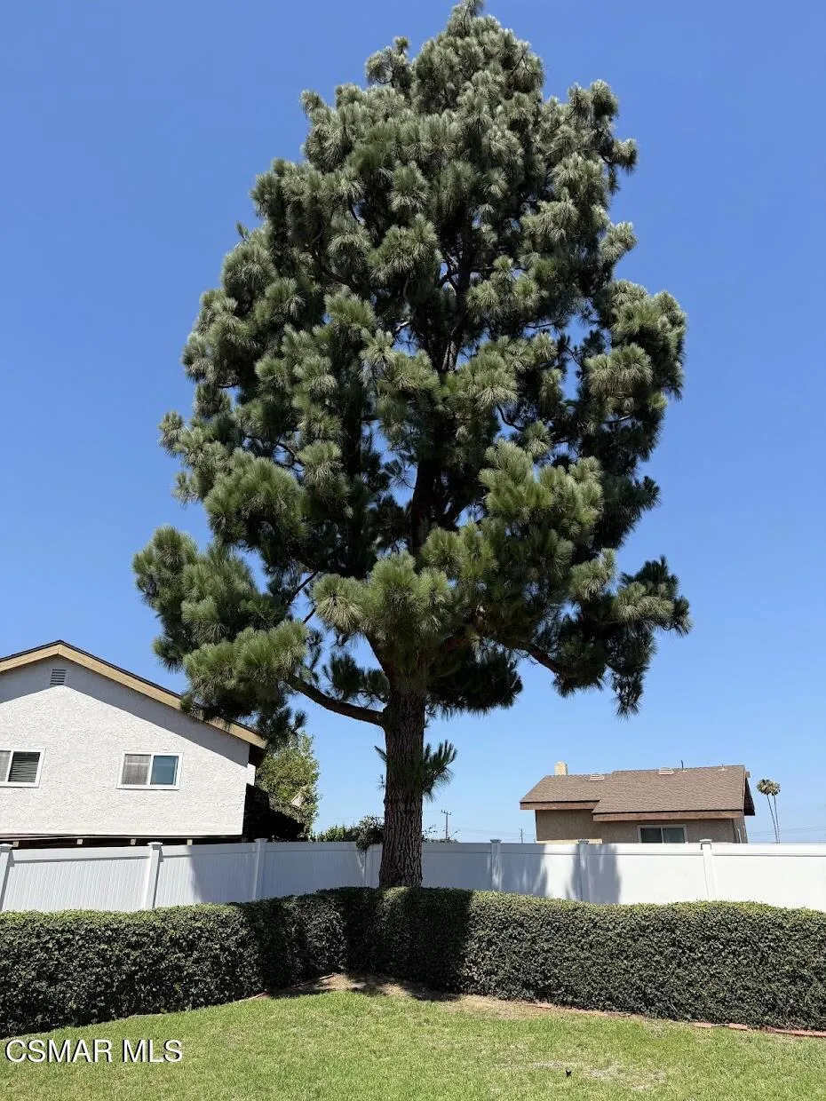 636 Malaga Court Newbury Park, CA 91320