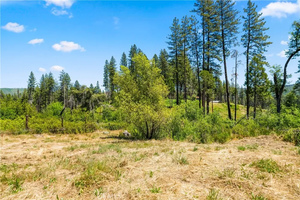 13159 Mullen Way Oroville, CA 95965