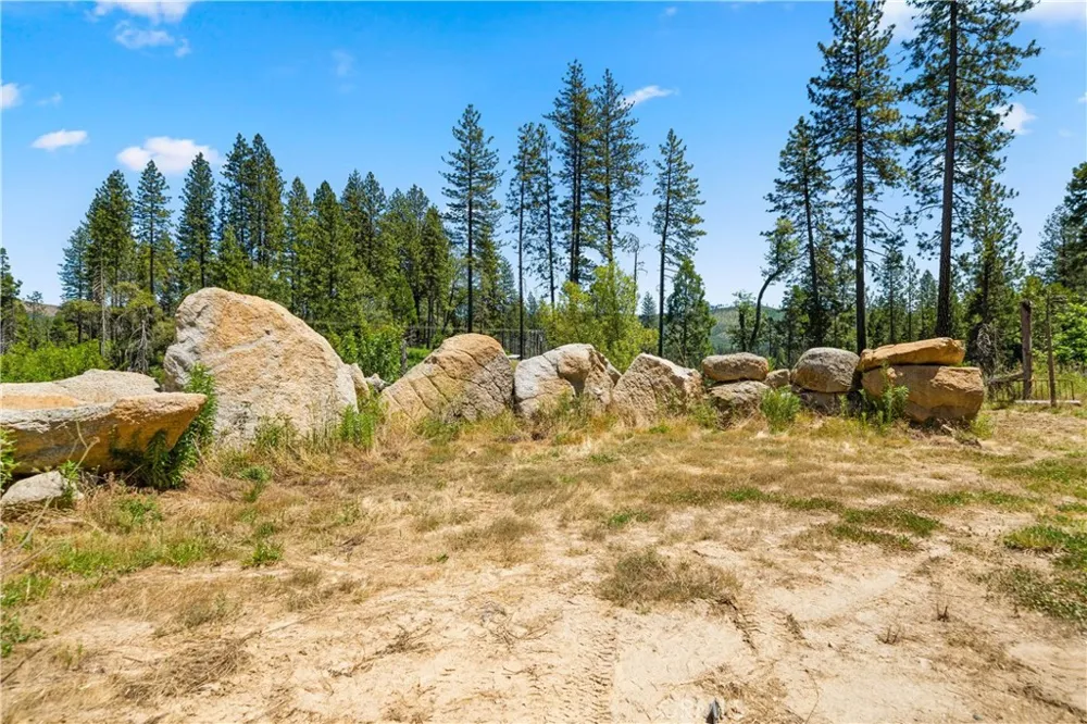 13159 Mullen Way Oroville, CA 95965