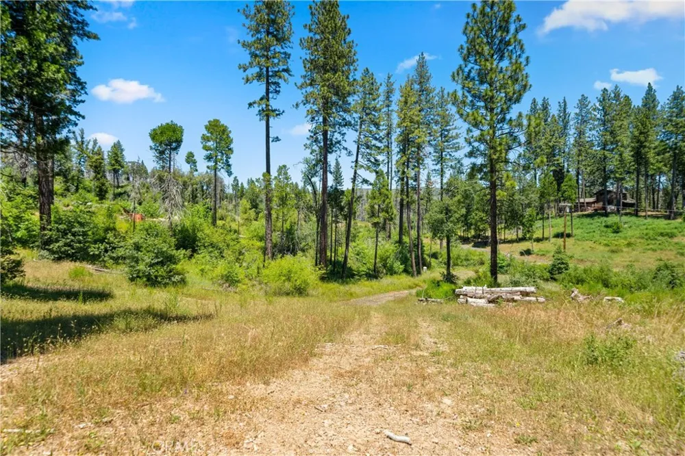 13159 Mullen Way Oroville, CA 95965