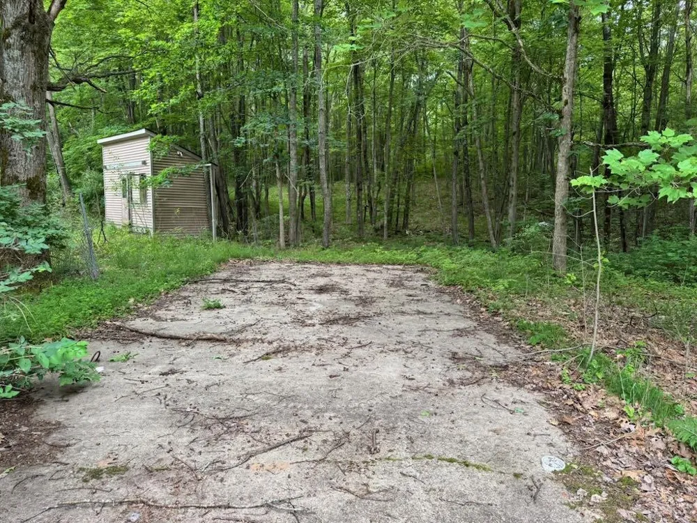 4303 W Adams Road Surrey Township, MI 48632