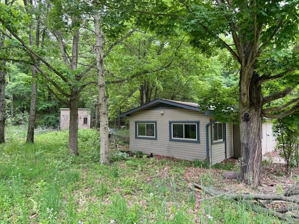 4303 W Adams Road Surrey Township, MI 48632