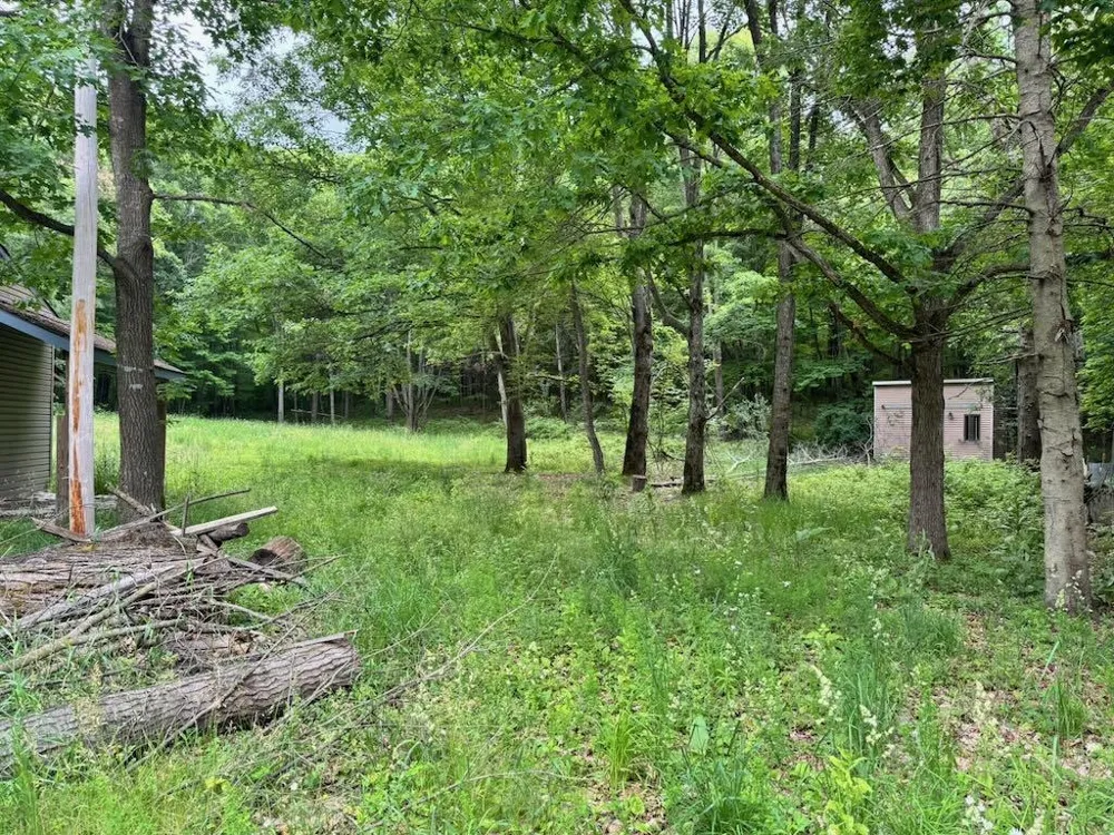 4303 W Adams Road Surrey Township, MI 48632