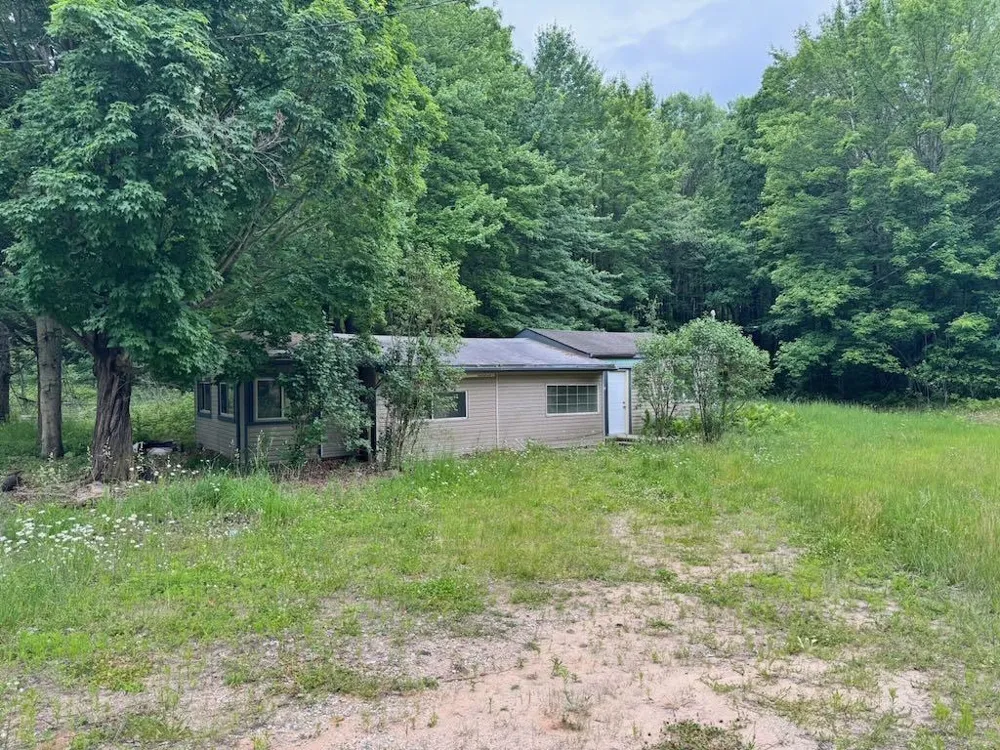 4303 W Adams Road Surrey Township, MI 48632