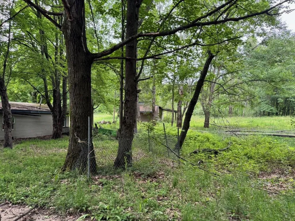 4303 W Adams Road Surrey Township, MI 48632