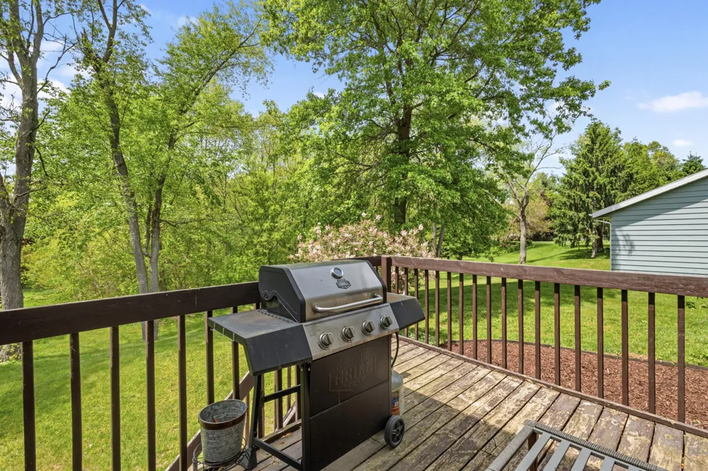 7657 Cottonwood Richland Township, MI 49083