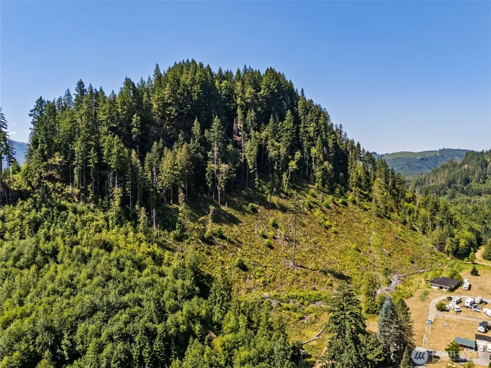 1111 US-12 Randle, WA 98937