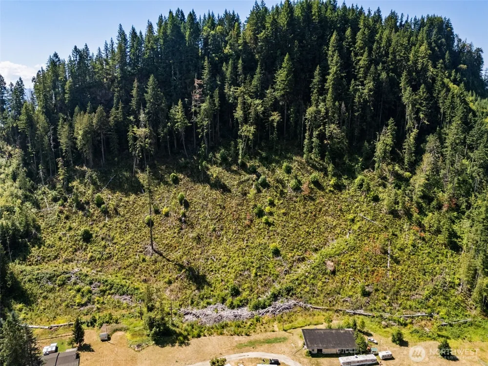 1111 US-12 Randle, WA 98937