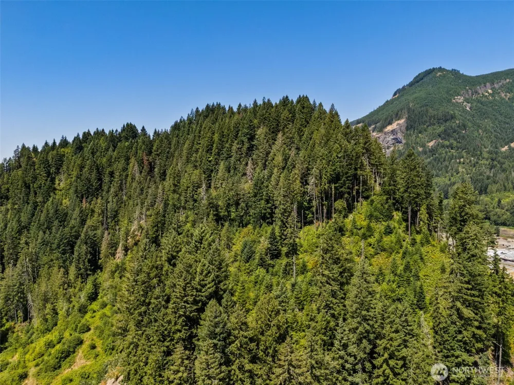 1111 US-12 Randle, WA 98937