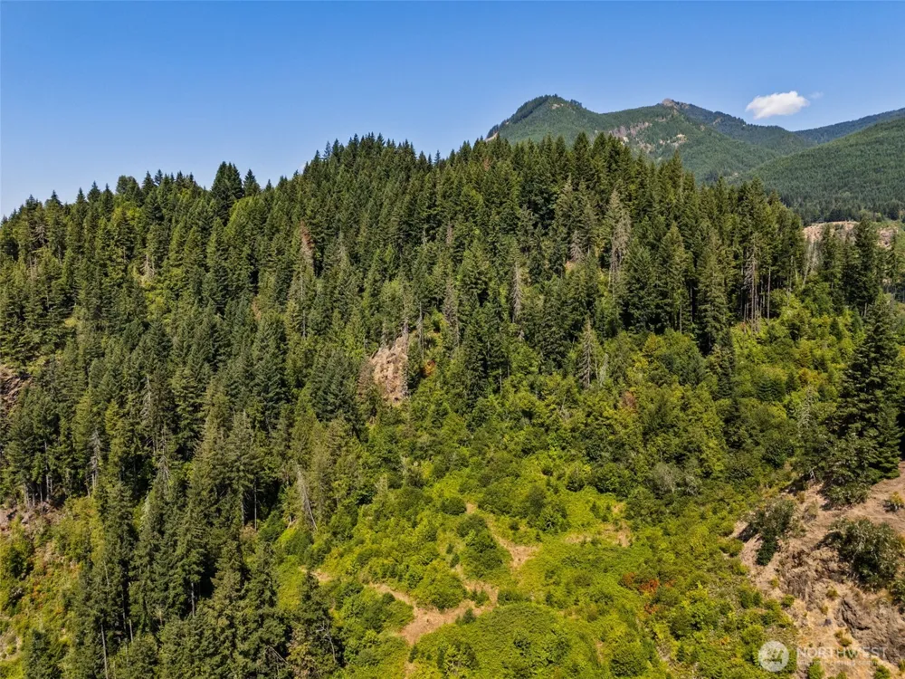 1111 US-12 Randle, WA 98937