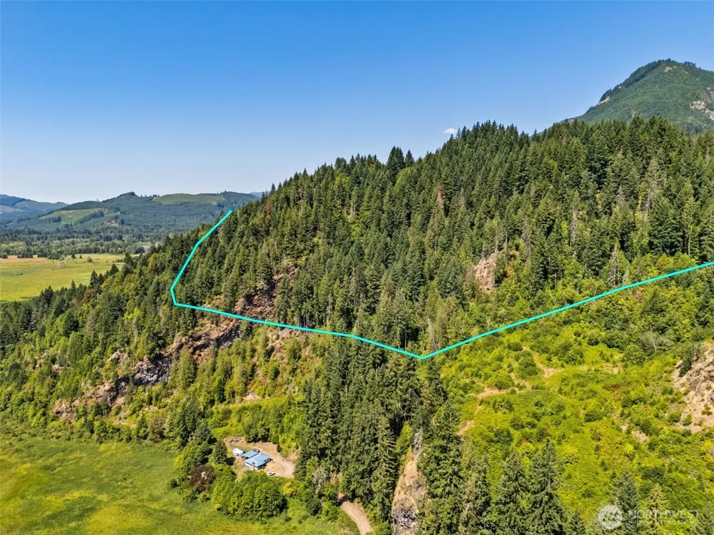 1111 US-12 Randle, WA 98937