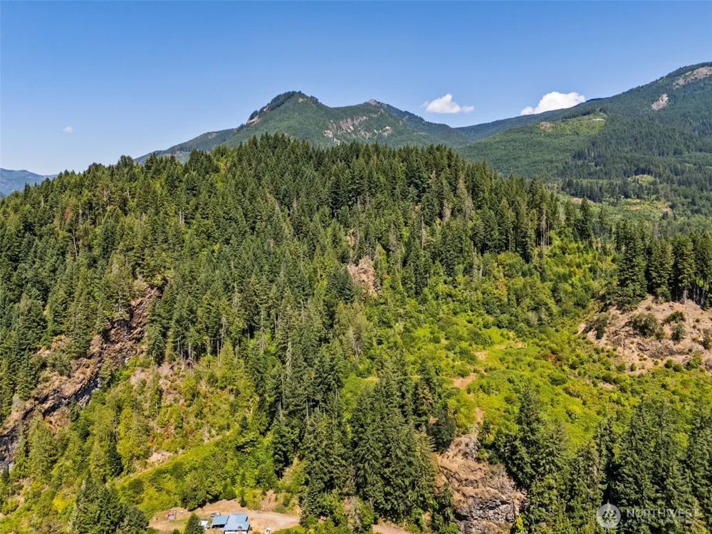 1111 US-12 Randle, WA 98937