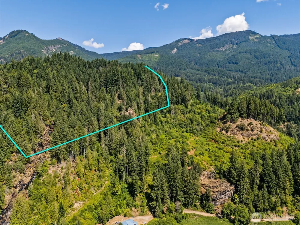 1111 US-12 Randle, WA 98937