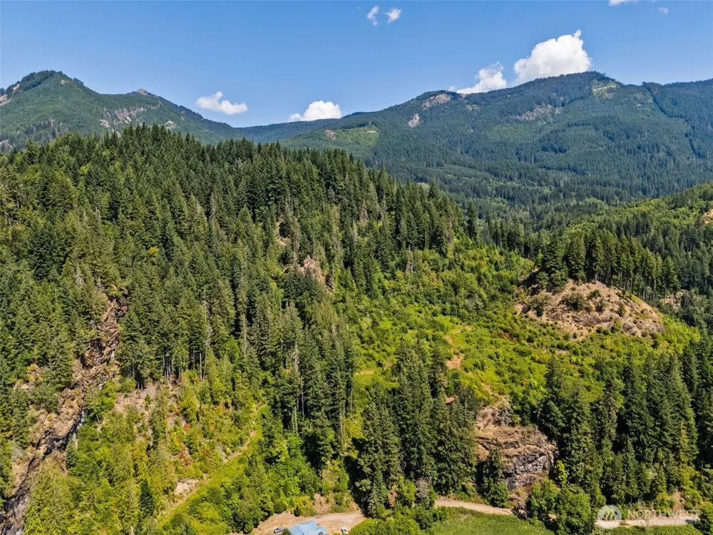 1111 US-12 Randle, WA 98937